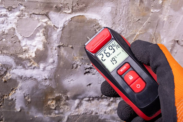 Trusted Shrewsbury, NJ Mold Remediation Experts